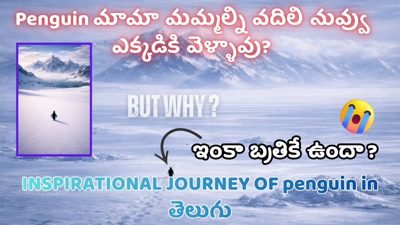 “A Small Penguin, A Big Message | చిన్న పెంగ్విన్… పెద్ద సందేశం”#PenguinStory#Penguin#ViralStory