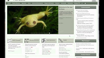 How to Use the New Xenbase Site