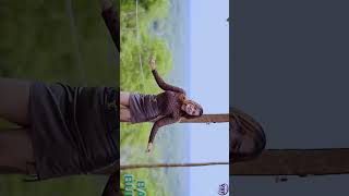 Behind the scene video clip Vita Katuy #video #videography #bukit