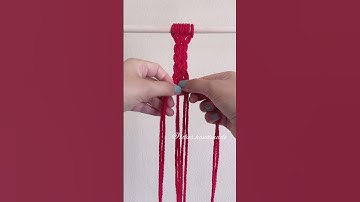 4 braid knot tutorial #shorts #macrametutorial #macrame #macramediy #knot #braid