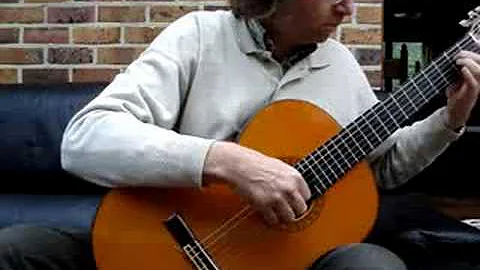 The Seabird-Guy Lukowski-guitar