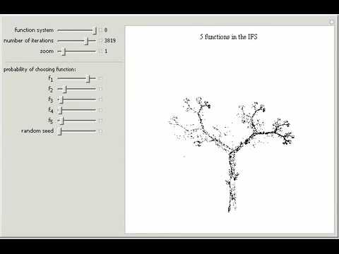 Attractors of Iterated Affine Transform Systems
