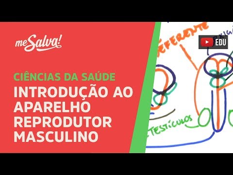 Vídeo: A Seleção Direcional Positiva Recente Específica Da População Sugere A Adaptação Dos Genes Reprodutores Masculinos Humanos A Diferentes Condições Ambientais