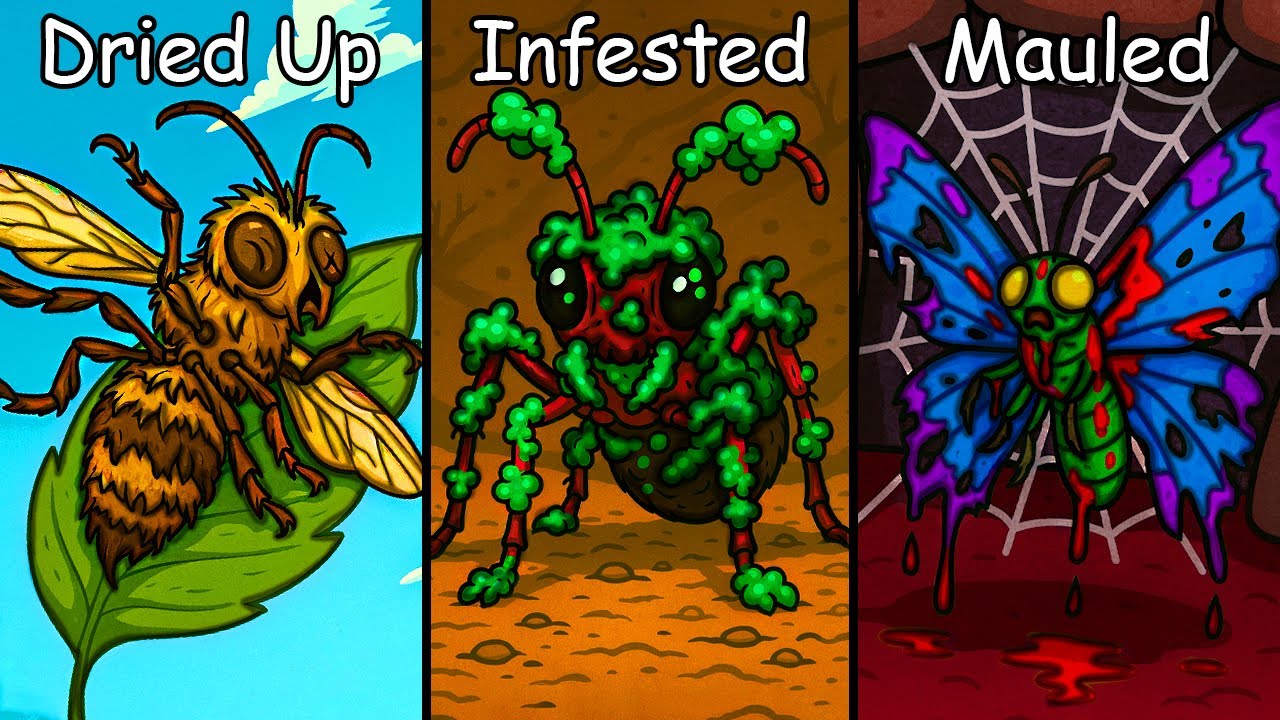 Why it Sucks To Be Born As an Insect