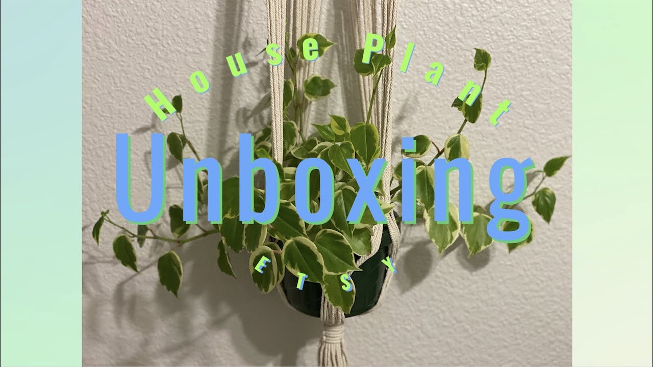 Unboxing etsy house plants YouTube
