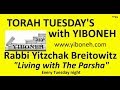 Rabbi Yitzchak Breitowitz: The Chronicles of Jesus, 10th of Tevet and Three days of Sorrow