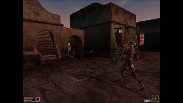 The Elder Scrolls III: Morrowind #3 - Flowers for Ajira