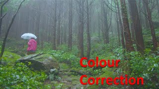 Colour Correction Workshop