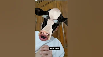 في منزل أنثى السنجاب 
