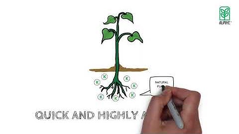 ALPINE Bio-K Premium Potassium Acetate Fertilizer