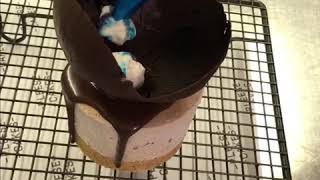 Celebrity Chocolate cup topped mini pleesecake Profile