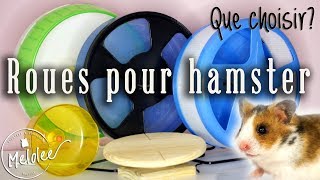 Roue pour hamster : obligatoire? Laquelle prendre? Et s'il n'en fait pas?