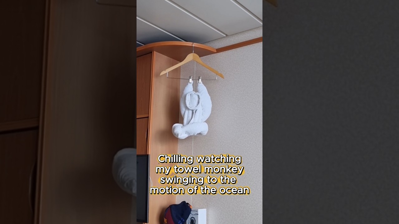 Swinging Cruise Towel Monkey #travelshorts #cruise #cruiselife