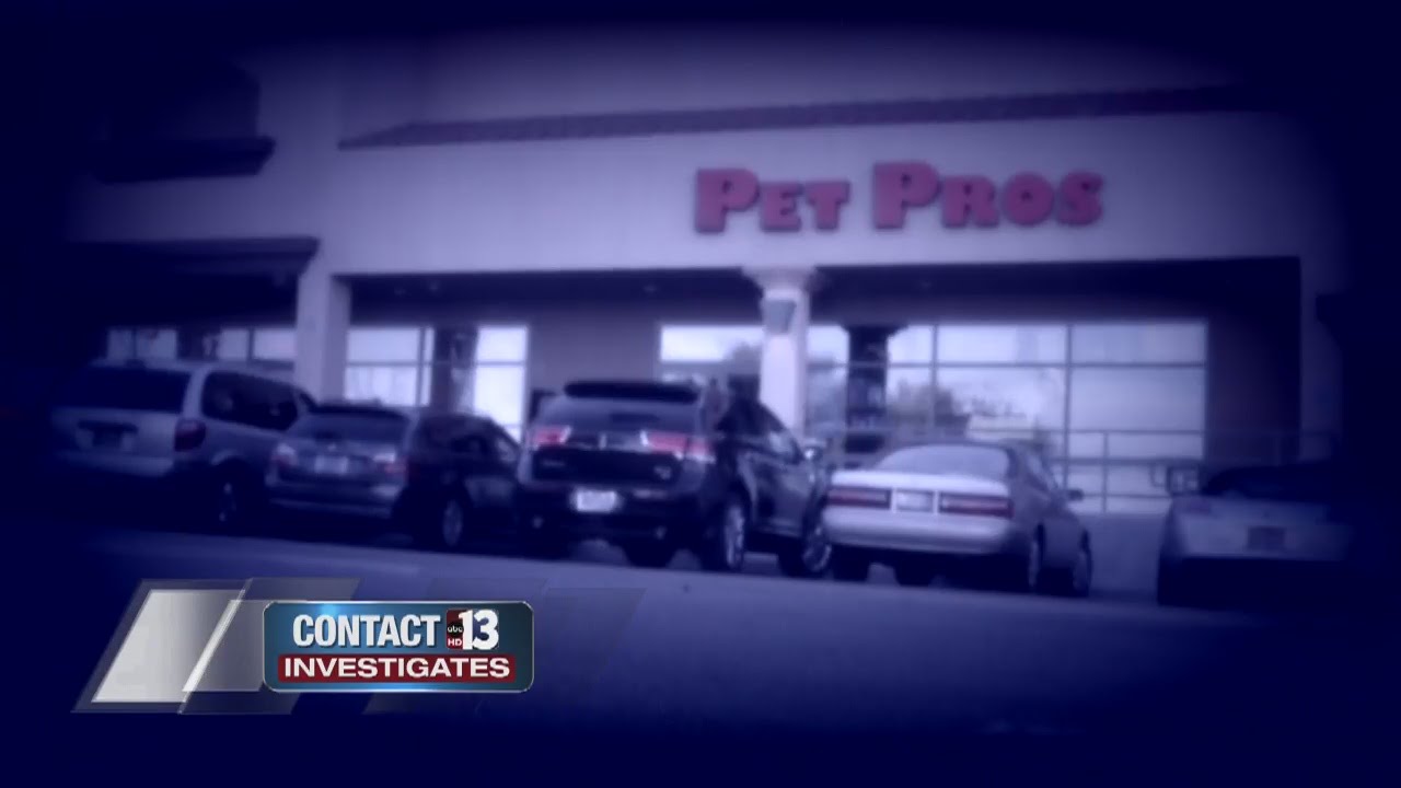 Pet Pros puppies come from states notorious for puppy mills YouTube