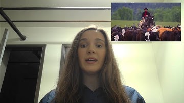 Equine Biomechanics: Video 1