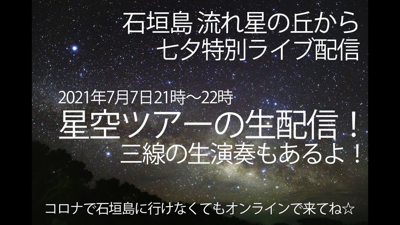 七夕に出て来る鳥って 天の川に橋を掛ける 雨の日だけ 晴れたら アル サド アル スウド 最も幸運な星