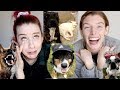 REACTING TO YOUR PETS!!