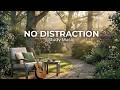 Soft Acoustic Guitar for Study Music | 2 Hours of Concentration Music 🎧