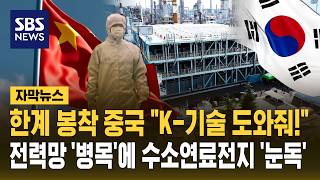 한계 봉착 중국 "K-기술 도와줘!"..전력망 '병목'에 수소연료전지 '눈독' (자막뉴스) / SBS