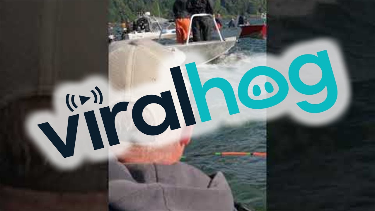 Boat Collision Causes Vessel to Sink ViralHog YouTube