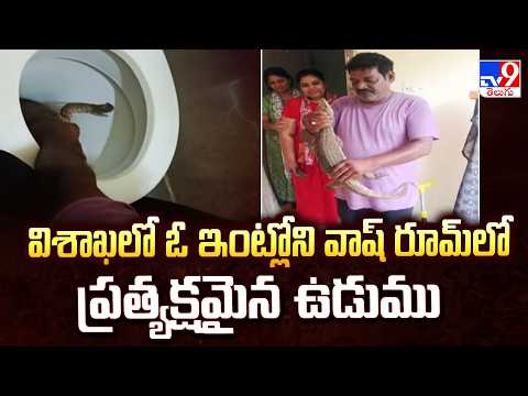 Viral news : విశాఖలో ఓ ఇంట్లోని వాష్ రూమ్ లో ప్రత్యక్షమైన ఉడుము - TV9