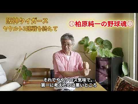 阪神タイガース ヤクルト3連戦を終えて【注目選手等も！】