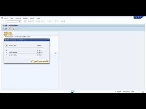 Video: ¿Cómo abro un campo de comando en SAP?