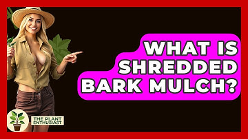 What Is Shredded Bark Mulch? - The Plant Enthusiast