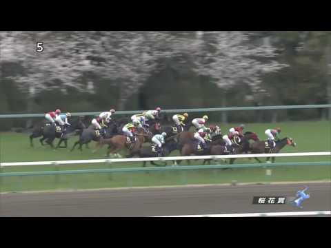 桜花賞G1  阪神競馬場  4月9日(日)