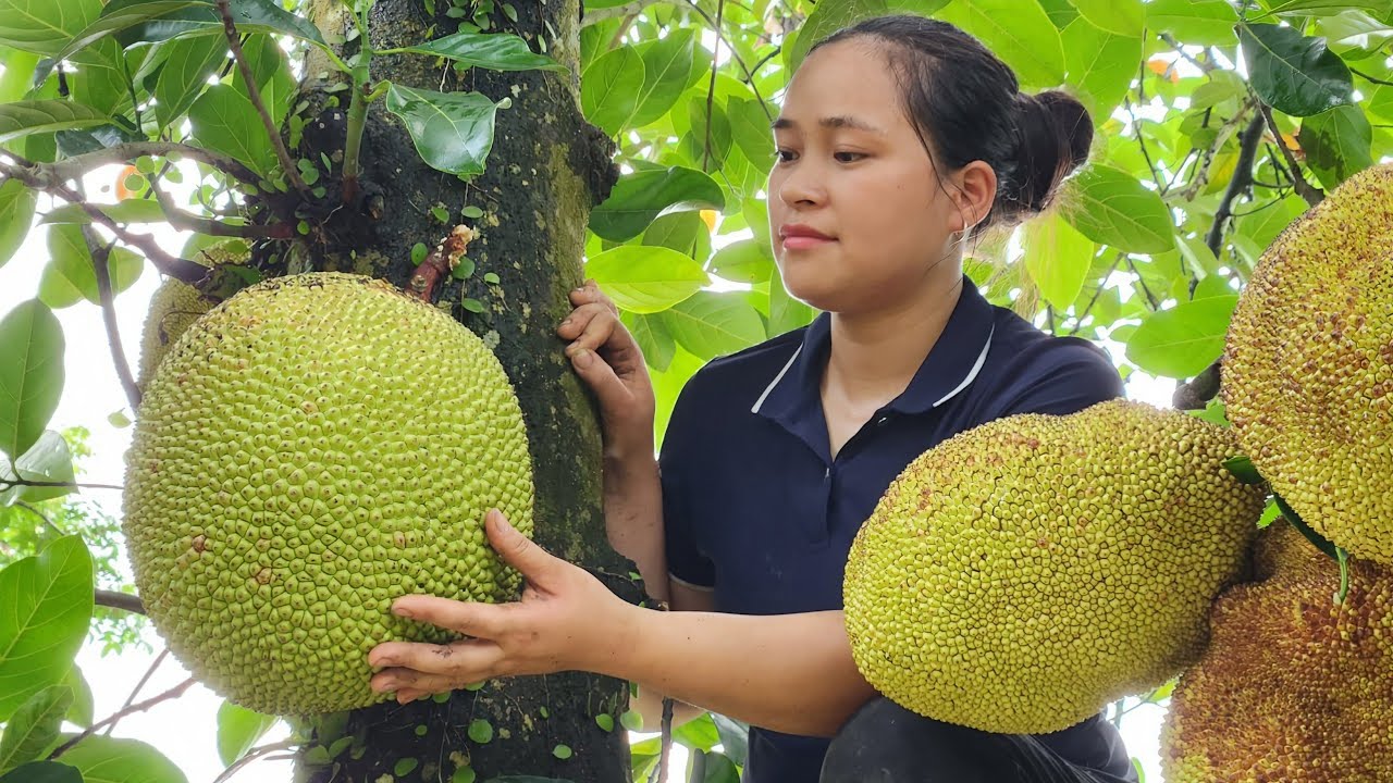 VIDEO FULL: 150 Days Build Garden - Harvest Lychee, Jackfruit, Dragon Fruit, Pumpkin Go market sell