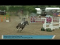 Sparsholt Pony Premier Day 1  | Pony Foxhunter 2nd Round