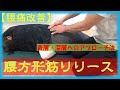 vol.94 【腰痛改善】腰方形筋リリース‼～表層と深層を分けて～