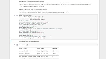 Deep Learning Lecture 11: Using CNN