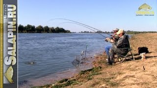 Ловля фидером сазанчиков на нижней Волге [salapinru]