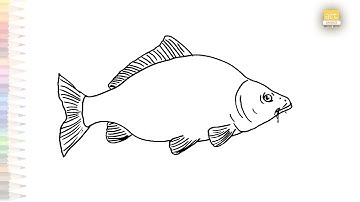 Carp easy drawing | Fish drawing tutorials | How to draw A Carp fish step by step | #artjanag