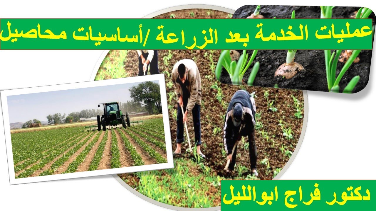 عمليات الخدمة بعد الزراعة / أساسيات المحاصيل