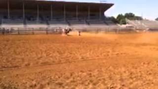 Flit By Fax 2014 Red Bluff Jr. Rodeo