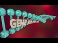 What is Science of Aging ? | The role of lifestyle, Diet & Exercise in Slowing Aging !