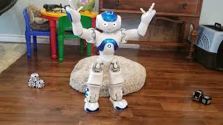 Nao Robot Uninterrupted Dances