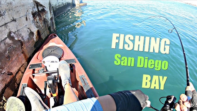 Favorite Fishing Rig From Kayak  Fishing In San Diego Bay 