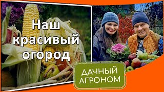 ПОШАГОВО Вот почему постоянные грядки так популярны!