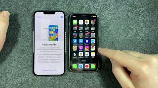 Trasferire Tutti i Dati dal  Vecchio al Nuovo Iphone 13 Pro screenshot 4