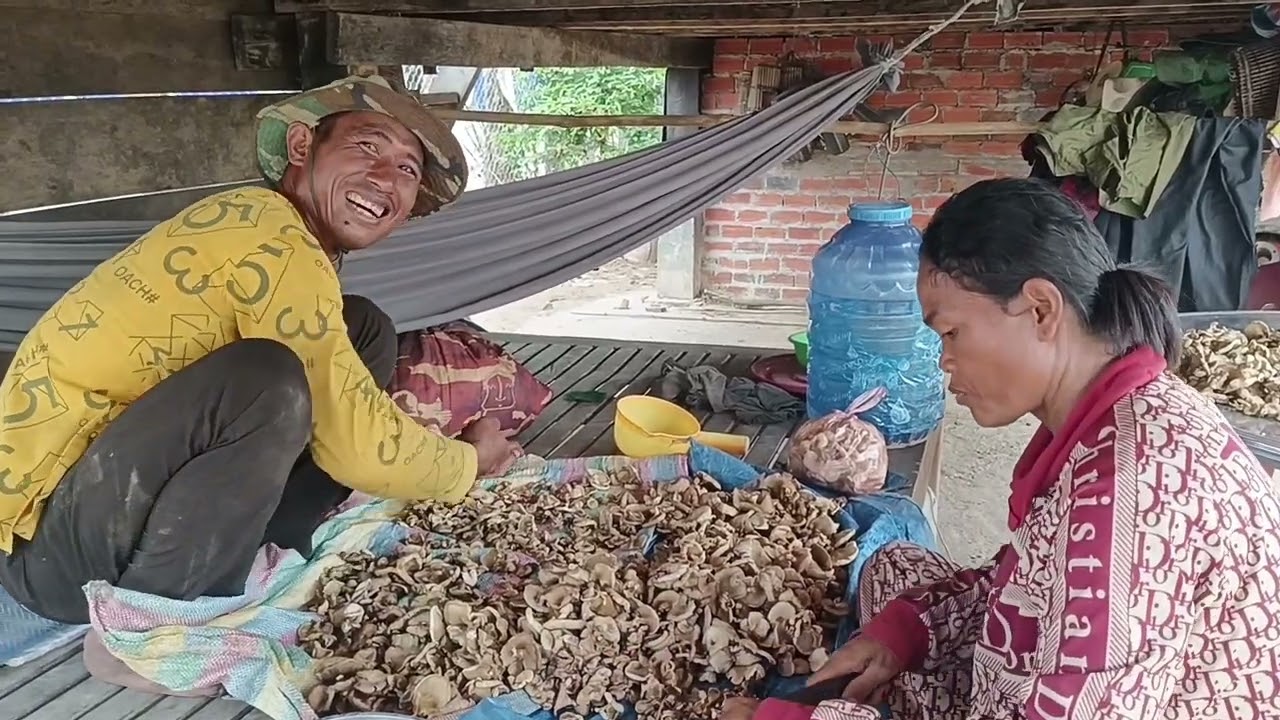 ជាងៗបន្តដាក់លូចំនួន12កង់ធ្វើការងារតាមធម្មតា