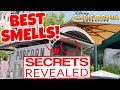 Top 7 SMELLS of Disney California Adventure | Which Smell Does Disney Use To Make You Buy More?