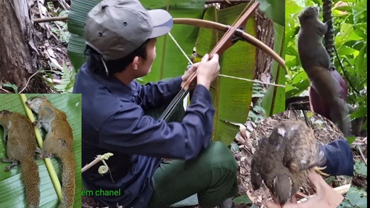 Hunting ชอดกีนยุ่ไนป่าลรอกยีงนกยีงกระลรอก