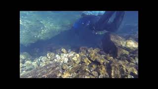 Roubidoux Cave Dive