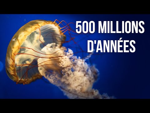 Vidéo: Les Premiers Dinosaures Sur Terre Sont Apparus 5 à 10 Millions D'années Plus Tôt Que Nous Le Pensions - Vue Alternative