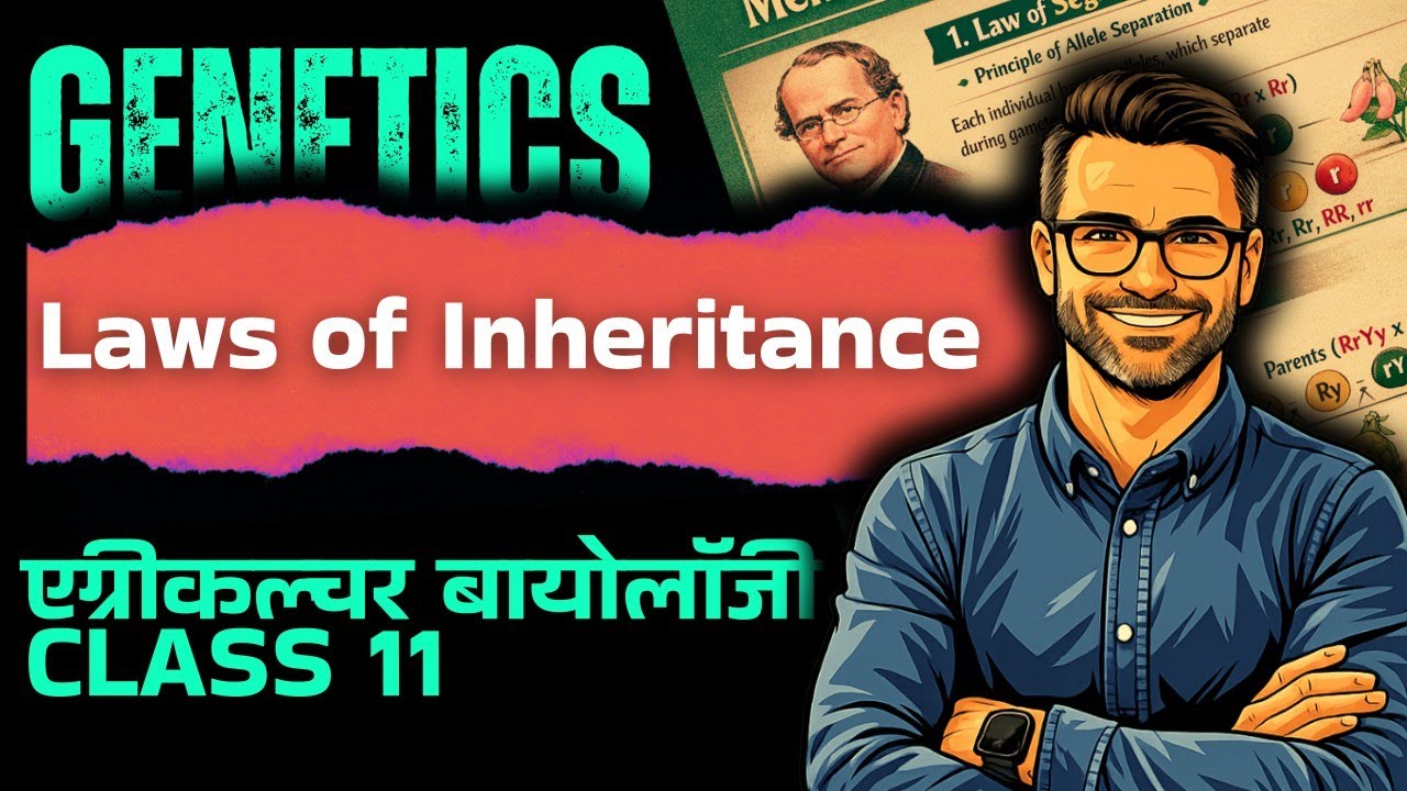 RBSE Class 11th Agriculture Biology Chapter 13 Genetics : Laws of Inheritance 