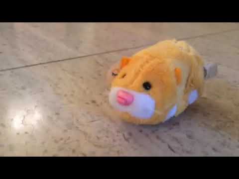 Zhu Zhu Pets - Hamster Toy, Nugget 