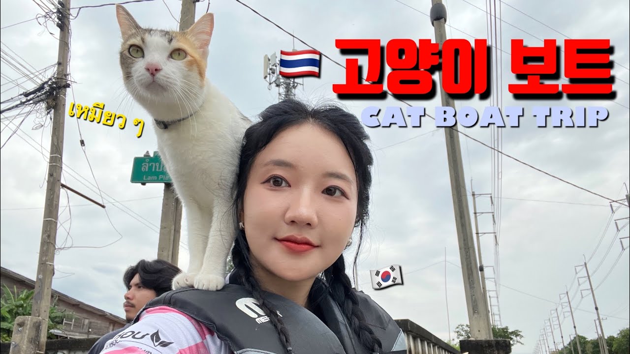 고양이가 함께 배 타는 태국 방콕 후아따케 수상시장🇹🇭Cat boat trip🐈 Bangkok HuaTakhe vlog🐊